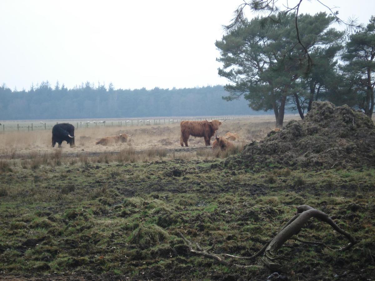B&B De Eikenhorst Elsloo  Exteriér fotografie